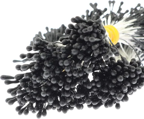 Miniatura 4 de Alrededor de 400 estambres florales perlados artificiales, estambres florales para hacer flores, decoración de álbumes de recortes, negro mate