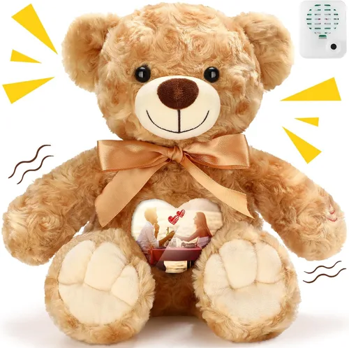 Silipull Recuerdo oso de peluche de terciopelo rosa de 12 pulgadas con grabador de voz marrón, animal de peluche con marco de fotos, regalo