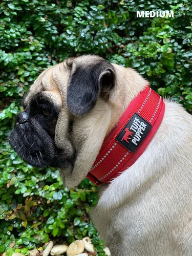 Miniatura 9 de Tuff Pupper Collar de perro acolchado ultra cómodo Acolchado grueso de neopreno Collar de perro con correa de nailon balístico con costuras