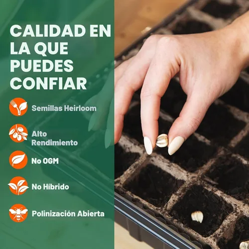 Miniatura 5 de Survival Gear, 15.000 semillas orgánicas Heirloom sin OMG, semillas para plantar verduras y frutas Comida de supervivencia para tu kit