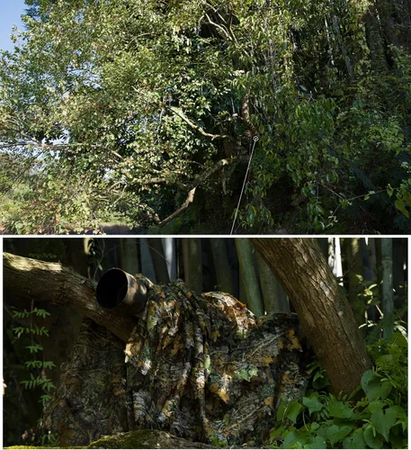 Miniatura 5 de Ginsco Poncho de camuflaje con hojas 3D Camoflage Woodland Cape ligero Ghillie traje para hombres, capucha Ghillie para caza de pavos, observación