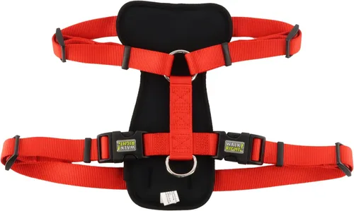 Miniatura 11 de Coastal Pet Walk Right - Arnés acolchado para perro con conexión frontal y sin tirones, ajustable y cómodo, ajuste para razas pequeñas y grandes