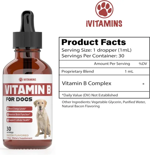 Miniatura 2 de Vitamina B para perros – Complejo de vitamina B para perros – Apoya la energía saludable, el apetito, la vista y mucho más – Vitaminas para perros