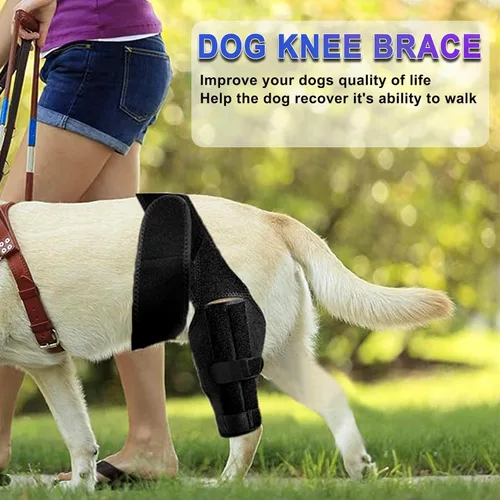 Miniatura 8 de Rodillera para perro para pierna trasera desgarrada del ligamento cruzado anterior, soporte ajustable para la pierna trasera delantera y trasera