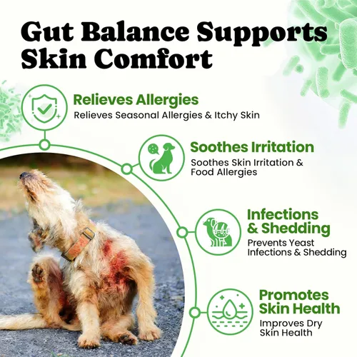 Miniatura 4 de Probióticos para perros – Salud digestiva e intestinal para estómagos sensibles, probióticos para perros en polvo para piel y pelaje, aliento e