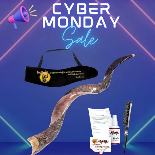 Miniatura 2 de Juego de Shofar Kudu Kosher medio pulido de Israel, más bolsa, certificado kosher firmado oficialmente, cuerno de shofar hecho en Israel