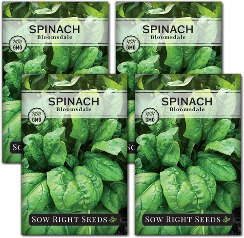 Miniatura 9 de Sow Right Seeds - Semillas de espinaca Bloomsdale para plantar - Paquete de reliquia sin OMG con instrucciones para plantar y cultivar un huerto
