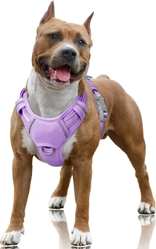 Miniatura 41 de BARKBAY Arnés para Perro Sin Tirones Talla Grande Arnés Reflectante para Perro con Clip Frontal y Asa de Control Fácil para Caminar Entrenar Correr