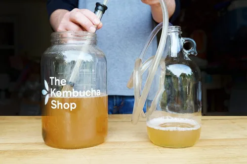 Miniatura 2 de The Kombucha Shop - 64 oz. Gruñidor de medio galón con tapa hermética