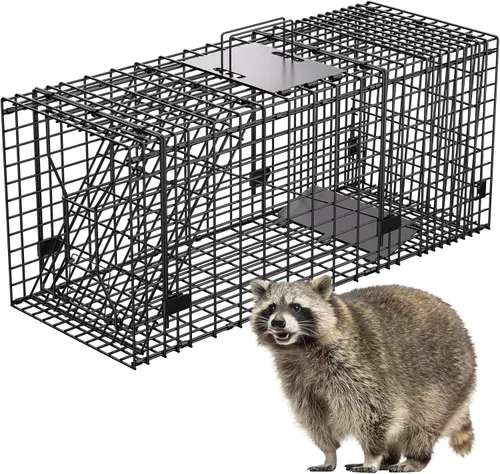 Trampa para animales vivos VASALAID, 81 cm X 30 cm X 31.75 cm Captura y liberación, trampa humana plegable para interior y exterior para mapaches,