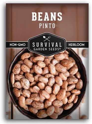 Semillas de frijol Pinto para plantar, frijoles secos de reliquia, variedad de arbustos de alto rendimiento, cultivo alimenticio rico en proteínas