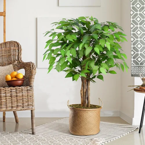 Miniatura 6 de Árboles artificiales de ficus de 3 pies con troncos naturales curvados, árbol exuberante de 36" de altura, árbol falso de ficus realista en verde