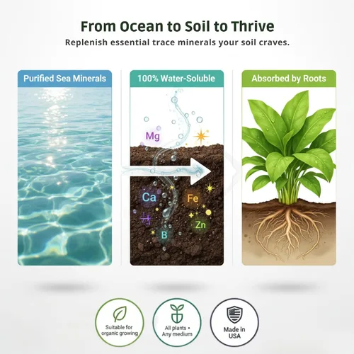 Miniatura 3 de Fertilizante mineral Ocean Magic Sea por GS Plant Foods (1 galón) – Concentrado líquido para mejorar la salud mineral del suelo – Minerales marinos