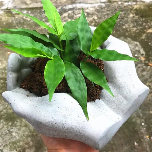 Miniatura 6 de Molde de silicona de cemento en forma de maceta en forma de mano, molde de maceta suculenta de arcilla de hormigón, molde de almacenamiento