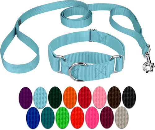 Miniatura 13 de Country Brook Petz - Collar para perro de nailon resistente Martingala azul hielo y correa de doble asa (1 pulgada, grande)