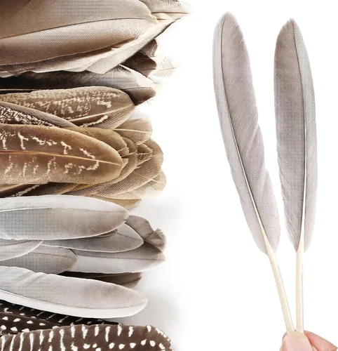 Miniatura 3 de iHUFeather 120 plumas de faisán naturales a granel, 10 estilos de plumas mixtas para manualidades, manualidades, sombreros, arreglos florales, boda