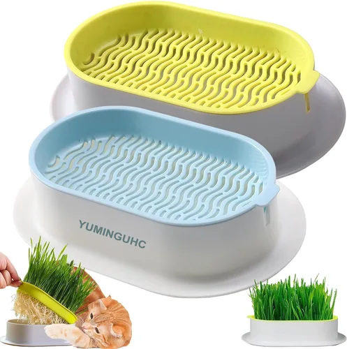 2 Piezas Macetero de Hierba para Gatos (Sin Semillas Incluidas) Bandejas de Plantación de Pasto de Trigo Kits de Cultivo Hidropónico de Hierba para
