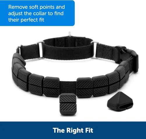 Miniatura 4 de PetSafe Soft Point - Collar de entrenamiento sin tirones para perros, puntos suaves de goma, mediano, 3/4 pulgadas, negro