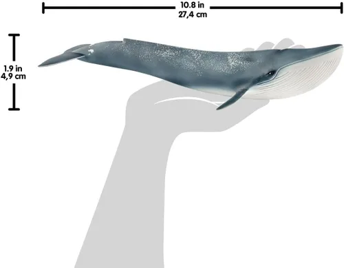 Miniatura 7 de Schleich Wild Life - Figurina realista de ballena azul, juguete de animal acuático auténtico y altamente detallado, duradero para la educación