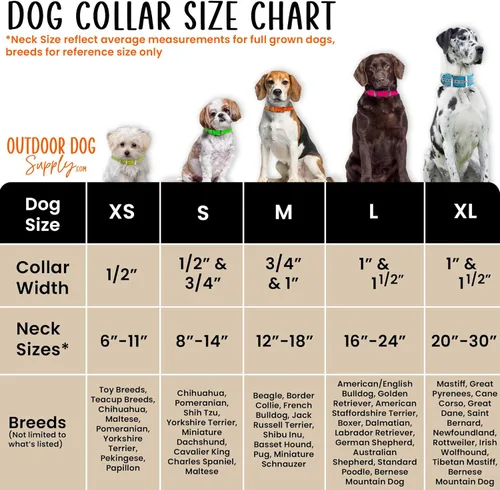 Miniatura 4 de Outdoor Dog Supply Collar de perro con anillo en D impermeable reflectante resistente de 1 pulgada para perros medianos y grandes con placa