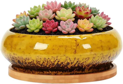 Miniatura 13 de Bonita maceta circular de cerámica para decoración del hogar y jardín, suculentas, cactus, maceta no incluida (azul, 3.19 pulgadas)