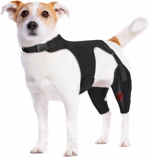 Miniatura 10 de Rodillera para perro para pierna trasera de ACL desgarrada, soporte de pierna de perro con estabilizadores de metal para desgarro CCL, limpado