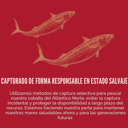 Miniatura 9 de King Oscar Caballa en aceite de oliva, lata de 4.05 onzas (paquete de 6, el embalaje puede variar), sin piel y sin hueso, caballa enlatada capturada
