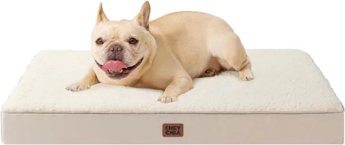 Miniatura 50 de EHEYCIGA Cama ortopédica de espuma para perros grandes, 35 pulgadas de largo x 23 pulgadas de ancho x 3.5 pulgadas de alto, gris claro