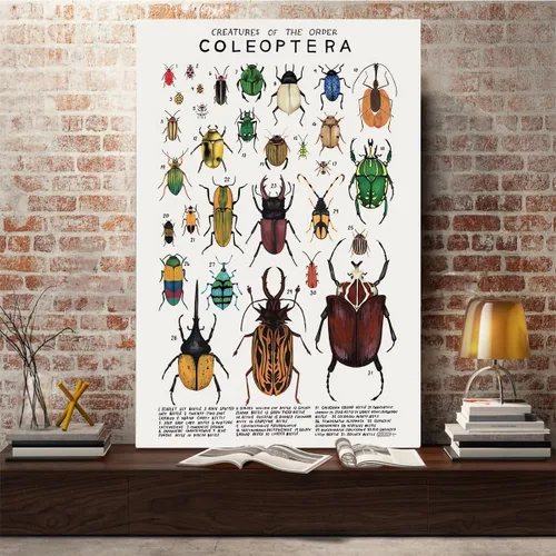 Miniatura 5 de Póster de lienzo de animales para pared, imágenes de animales, guía de coleópteros, insectos, escarabajos, impresiones de conocimiento, estética