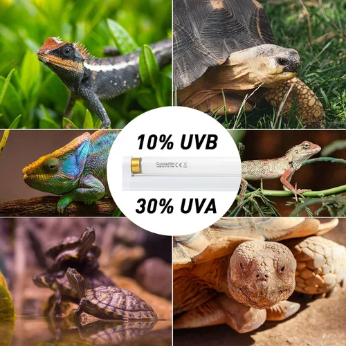 Miniatura 2 de Hypool T8 Strip UVB UVA - Lámpara de iluminación para reptiles con bombilla fluorescente UVB 10.0 de 18 pulgadas, 15 W, 10 % UVB, luz para hábitat