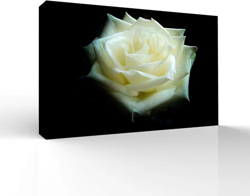 Miniatura 29 de wall26 Canvas Wall Art Beautiful Flowers Pictures Home Wall Decorations for Bedroom Living Room Paintings Canvas Prints Framed - 32x48 inches
