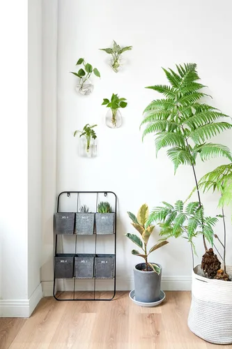 Miniatura 3 de Mkono Maceta de propagación para colgar en la pared, terrario de vidrio, jarrones de flores para plantas de interior, decoración del hogar, sala