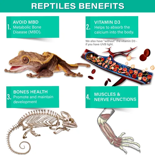 Miniatura 4 de Gargeer 4 onzas de calcio reptil con vitamina D3, sin fósforo, polvo ultrafino. Polvo puro, mezcla de frutas reales saborizadas, suplemento listo