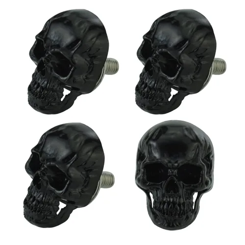 Tornillos para placa de matrícula de calavera para marco de motocicleta, kit de pernos de tornillo de etiqueta de automóvil, apto para vehículos,