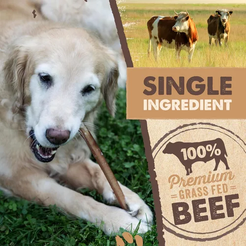 Miniatura 3 de Mighty Paw Palitos de goma de 12" de larga duración para perros - Masticables 100% naturales de carne de res alimentada con pasto. Palitos de goma