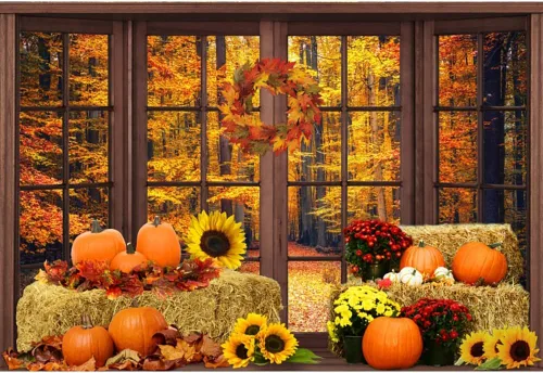 Laeacco Telón de fondo de poliéster para ventana de otoño, 5 x 3 pies, paisaje forestal otoñal para fotografía, calabazas, hojas de arce, flores,