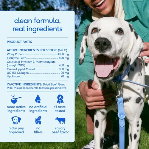 Miniatura 6 de Native Pet Advanced Care - Suplemento para cadera y articulaciones para perros - Apoya articulaciones, cartílago, músculos y tiene propiedades