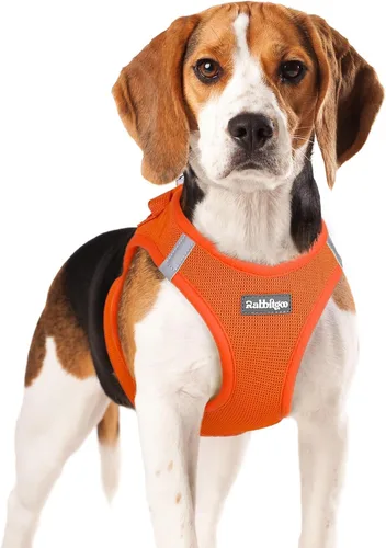 Miniatura 23 de rabbitgoo Arnés para perro pequeño, chaleco de malla suave para cachorros con hebilla de seguridad, arnés reflectante transpirable para mascotas