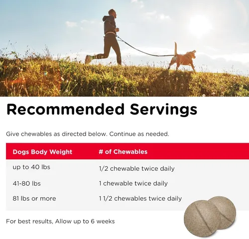 Miniatura 5 de Nutri-Vet Suplementos para perros de fuerza regular para cadera y articulaciones, formulados con glucosamina condroitina, suministros para mascotas