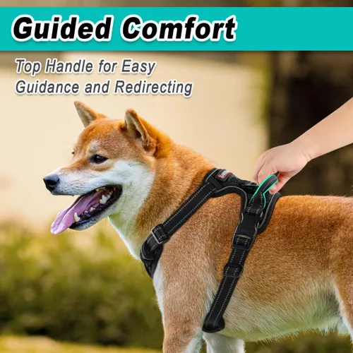 Miniatura 4 de BARKBAY Arnés para perro sin tirones para perros grandes, ajustable, reflectante, cómodo, sin estrangulamiento, resistente, perfecto para Negro