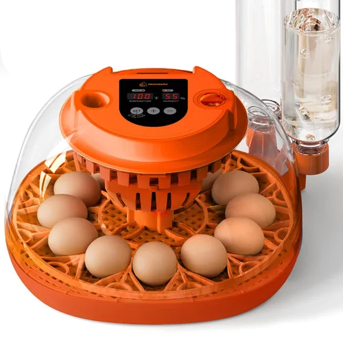 Incubadora de 12 huevos con giro automático y control de humedad, incubadoras completamente automáticas con vela de huevos, kit educativo
