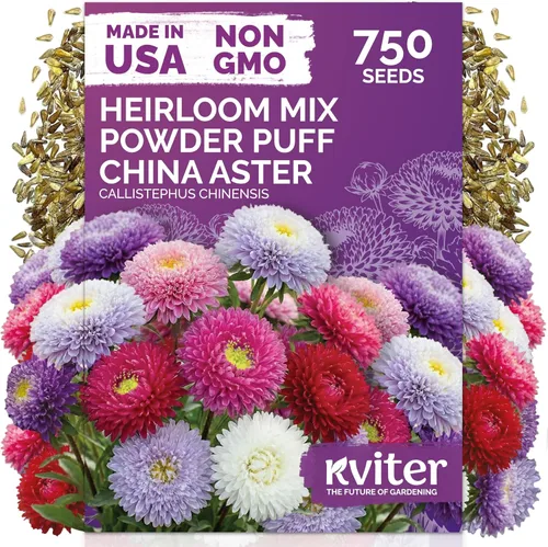 Miniatura 35 de KVITER 1600 semillas de pensamiento de los gigantes suizos para plantar (Viola wittrockiana) - Paquetes de semillas de colores mixtos Flores