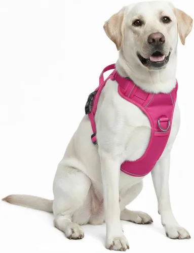 Miniatura 16 de Arnés sin tirones para perro, con 2 clips para correa, chaleco Oxford reflectante ajustable para mascotas con asa de fácil control para perros Negro