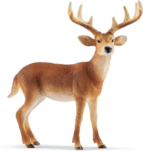 Schleich Wild Life, Figura de Animal, Juguetes de Animales para Niños y Niñas de 3-8 Años de Edad, Venado de Cola Blanca, Edades 3+