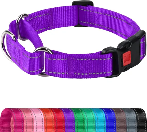 Miniatura 18 de Joytale - Collar martingale para perros, reflectante de alta resistencia para seguridad, hebilla de liberación rápida, collares ajustables de nailon