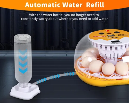 Miniatura 2 de Gpeng Incubadora de huevos, incubadora de 12 huevos con giro automático de huevos, control automático de temperatura, para incubar pollo, ganso
