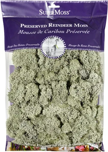 Miniatura 12 de Super Moss 21669 - Musgo de reno preservado, Chartreuse, 8 onzas (200 pulgadas cúbicas)