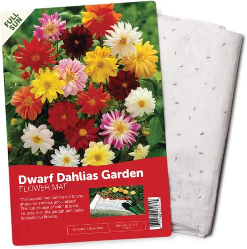 BloomingBulb Alfombrilla para semillas, fácil de plantar y cultivar semillas de jardín, crea un jardín de flores fragantes y vibrantes, macizos de
