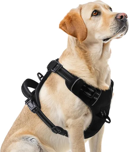 Miniatura 15 de PUPTECK Arnés para perro sin tirones para perros grandes, arnés para perro ajustable reflectante con mango de fácil control, arnés para mascotas