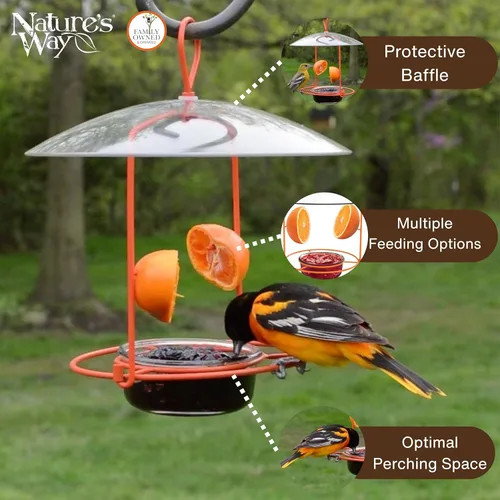 Miniatura 4 de Nature's Way OFP1 Comedero Todo en Uno para Orioles, Naranja